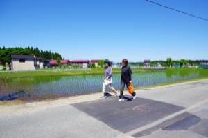 県道1